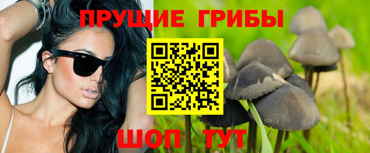 Семёнов  Галлюциногенные грибы Cubensis  Псилоцибиновые грибы Psilocybe  Вход с VPN 